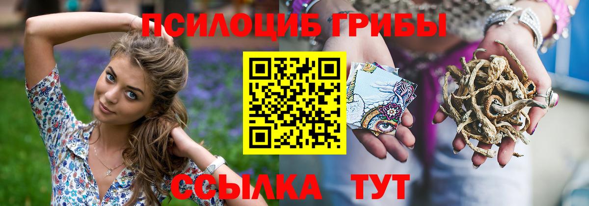 Псилоцибиновые грибы мицелий Солнечногорск
