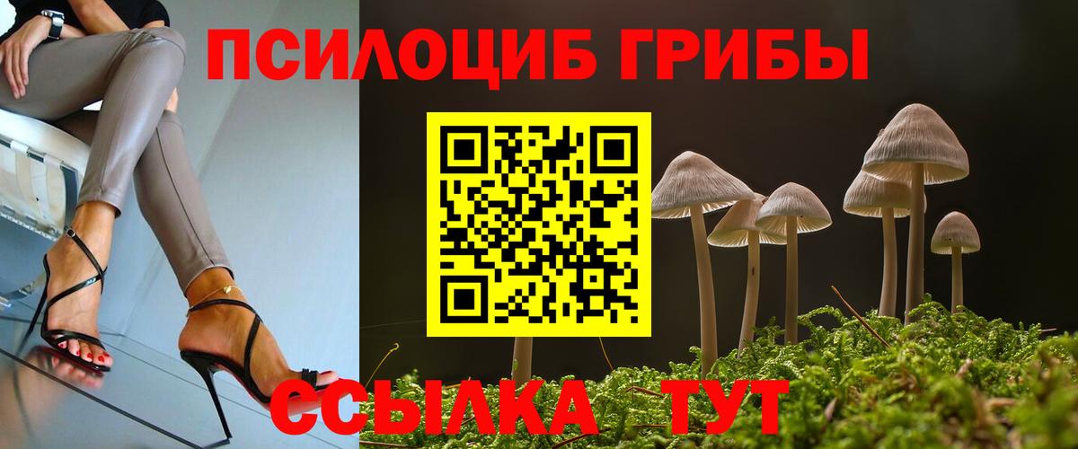 Солнечногорск  дарнет шоп  Вход с VPN  Псилоцибиновые грибы мицелий 
