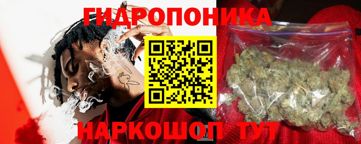 Каннабис THC 21%  Вход с VPN  Солнечногорск  Канабис планчик  Конопля сатива 